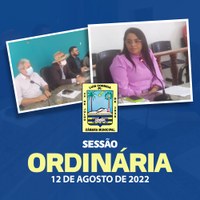 Câmara discute Requerimento e Projeto durante Sessão Ordinária de 12/08/2022